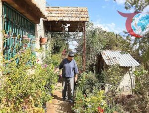 Savaşın Gölgesinde Yaşayan Koleksiyoner: Receb’in Bitkileri