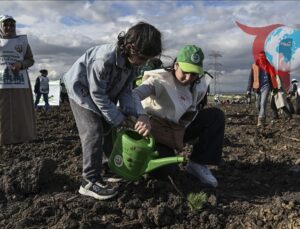 Silivri’de 15 Bin Fidanla Geleceğe Nefes