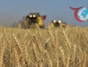 Tarım ÜFE Ekim Ayında Artış Gösterdi: Sektörel Değişimler ve Detaylar