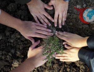Türkiye, Ağaçlandırma Günü’nde Yeni Rekorlar Kırdı