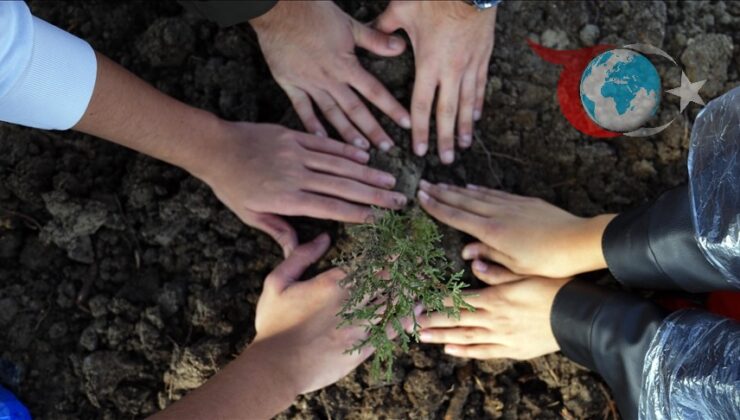 Türkiye, Ağaçlandırma Günü’nde Yeni Rekorlar Kırdı