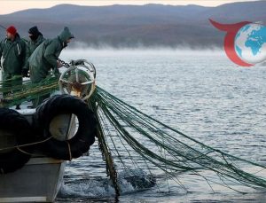 Türkiye, Akdeniz Balıkçılığında Liderlik Koltuğuna Oturdu