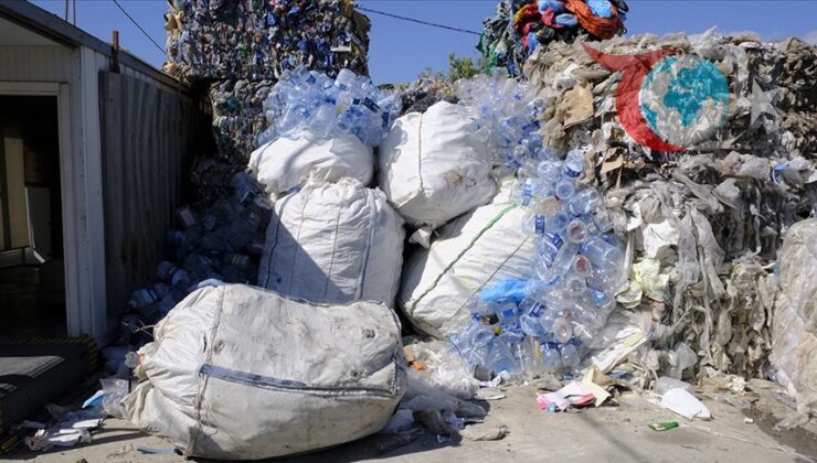 Türkiye’de Atık Yönetimi: 2024 İstatistikleri Açıklandı