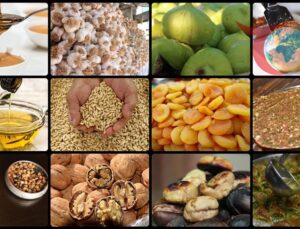 Türkiye’nin Fikri Mülkiyet Vizyonu: 2026 Yılı Hedefleri