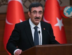 Türkiye’nin Yeşil Geleceği: Milyonlarca Fidan Toprakla Buluşuyor