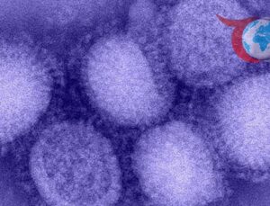 Yeni H3N2 Grip Virüsü Küresel Sağlığı Tehdit Ediyor