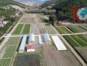 Yeşil Vatan İçin Fidan Seferberliği: Yozgat’ın Üretim Merkezi