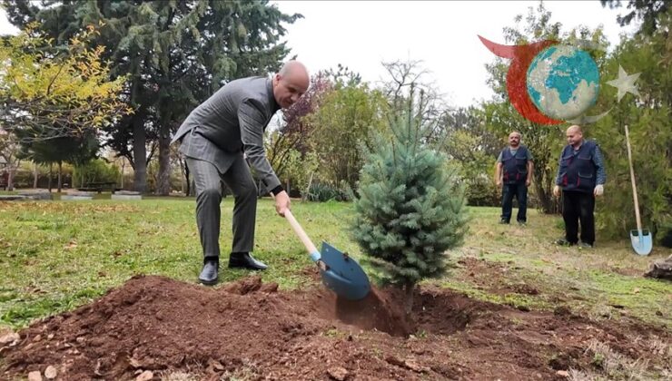 YÖK Başkanı Özvar’dan Milli Ağaçlandırma Günü’ne Destek