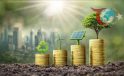 2024 Çevre Koruma Harcamalarında Büyük Artış: Detaylar Açıklandı