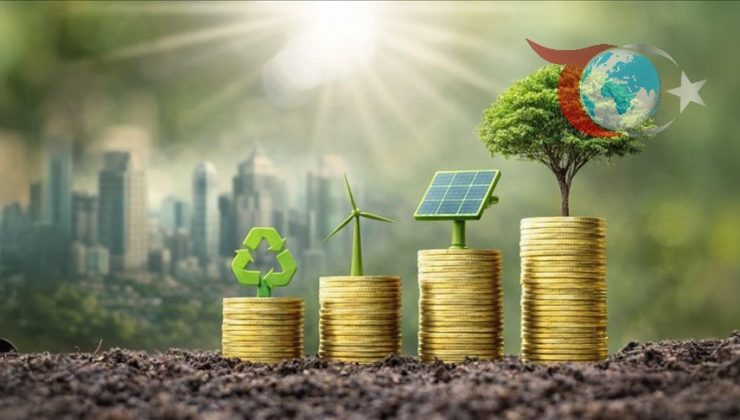 2024 Çevre Koruma Harcamalarında Büyük Artış: Detaylar Açıklandı