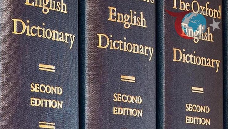 2025 Yılının En Popüler Kelimesi: ‘Öfke Yemi’