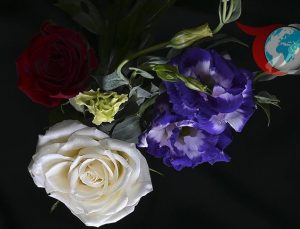 Antalya’dan Yılbaşı İçin Çiçek İhracatında Rekor Artış