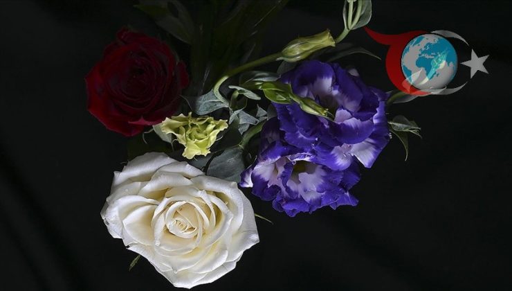 Antalya’dan Yılbaşı İçin Çiçek İhracatında Rekor Artış