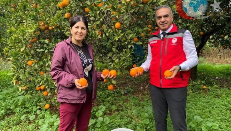 Aydın’da Kuyucak Portakalı Hasadı Başladı: Üreticilere Entegre ve Kontrollü Üretim Belgeleri Dağıtıldı
