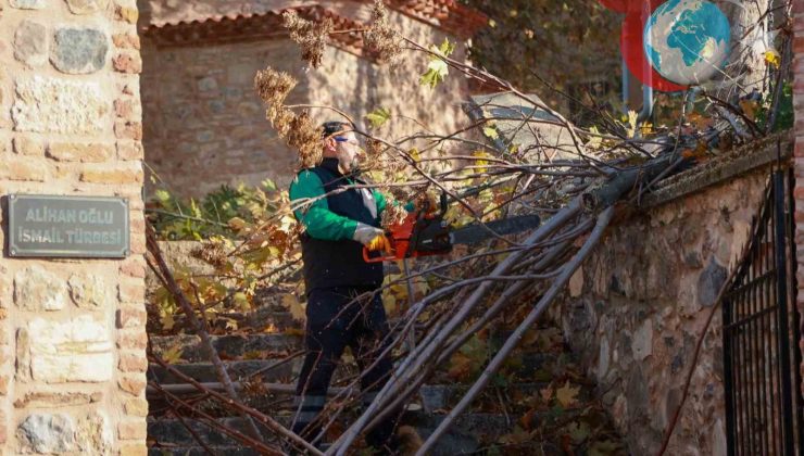 Aydın’daki Tarihi Alihan Oğlu İsmail Türbesi Yeniden Düzenlendi