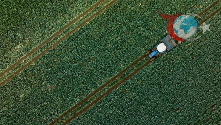 Çiftçilere 1 Milyar 137 Milyon TL’lik Dev Destek!