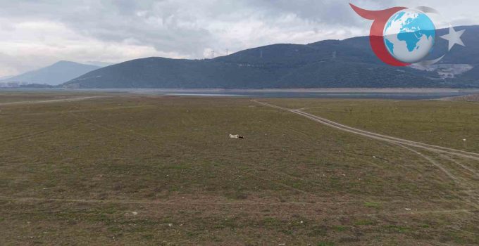Gölbaşı Göleti Kuruyor: Bursa Ovası’nın Tarımı Tehdit Altında