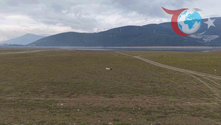 Gölbaşı Göleti Kuruyor: Bursa Ovası’nın Tarımı Tehdit Altında