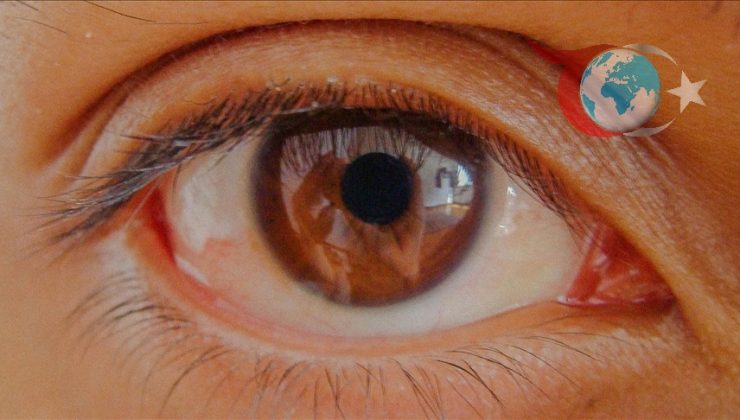 Göz Hastalıklarında Risk Faktörleri ve Glokomun Önemi