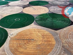 Hububat ve Baklagiller İçin Lisanslı Depolama Süresi Uzatıldı