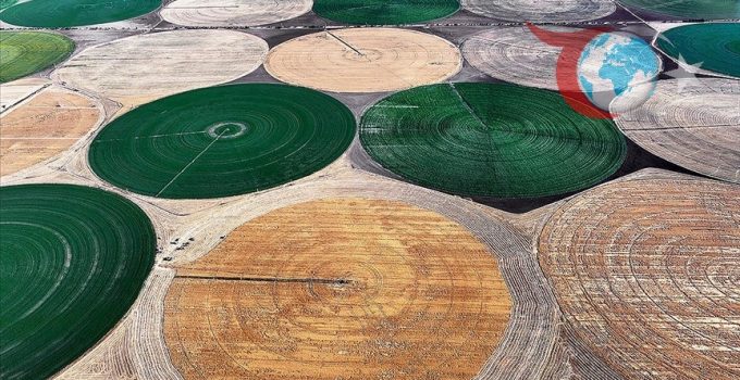 Hububat ve Baklagiller İçin Lisanslı Depolama Süresi Uzatıldı