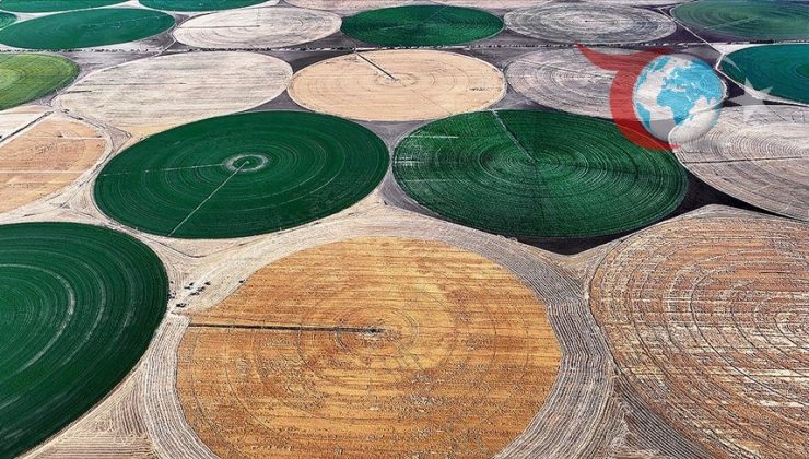 Hububat ve Baklagiller İçin Lisanslı Depolama Süresi Uzatıldı