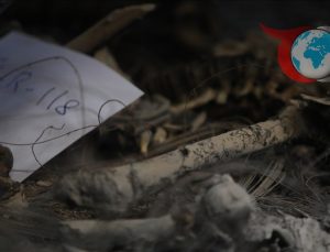 İdlib’deki Eski Devlet Güvenliği Merkezi’nde Toplu Mezar Bulundu