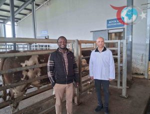 İslam Ülkeleri Uzmanları İzmit Mezbahasını İnceledi: Helal Standartlarda Örnek Tesis