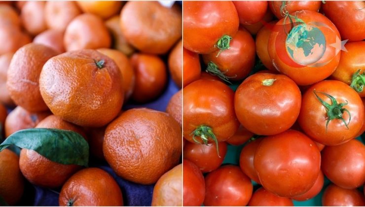 İstanbul’da Kasım Ayının Meyve ve Sebze Tüketimi Açıklandı