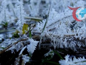 Kars’ta Soğuk Havanın Etkileri: Doğa Kırağı ile Buluştu
