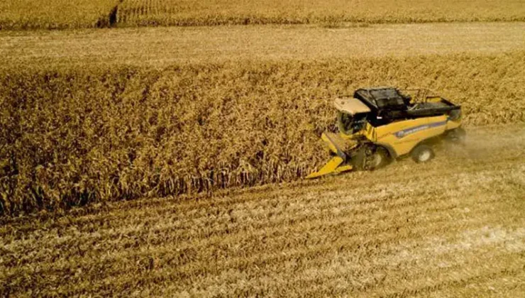 Kasım 2025 Tarım Ürünleri Fiyatları: TÜİK Verileri Açıklandı