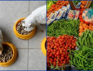 Kasım Ayında Fiyatı En Çok Artan ve Azalan Ürünler Açıklandı