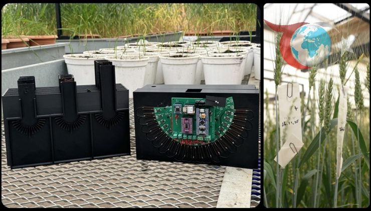 KMÜ Yeni Cihazla Buğday Islahında Çığır Açıyor