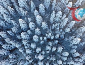 Küre Dağları’nın Karla Kaplı Büyüleyici Güzelliği Ortaya Çıktı