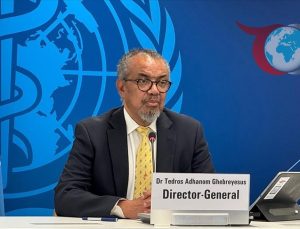 Küresel Grip Aktivitesinde H3N2 Virüsündeki Değişim