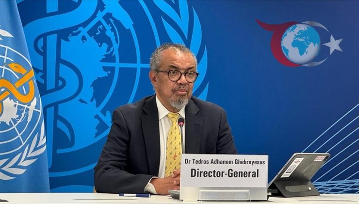 Küresel Grip Aktivitesinde H3N2 Virüsündeki Değişim