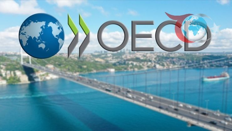 OECD’den Türkiye Ekonomisi İçin Yeni Tahminler: Büyüme ve Enflasyon Öngörüleri
