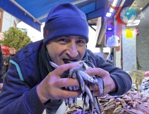 Samsun’da Hamsi Fiyatları Yükselirken Talep Artıyor