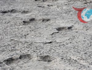 Stelvio Ulusal Parkı’nda Keşfedilen Dinozor Ayak İzleri Tarihe Işık Tutuyor