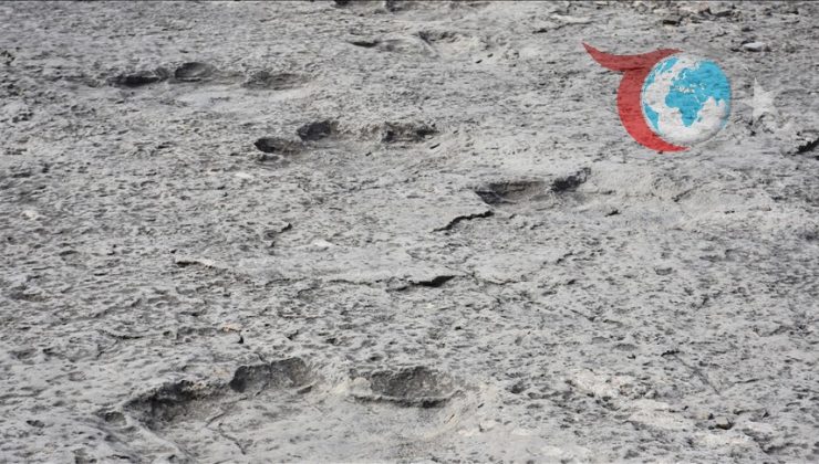 Stelvio Ulusal Parkı’nda Keşfedilen Dinozor Ayak İzleri Tarihe Işık Tutuyor