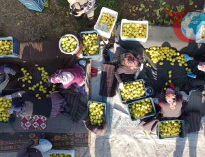 Tarım ÜFE’de İnişli Çıkışlı Grafikler: Kasım 2025’te Neler Değişti?