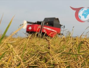 TARSİM’in Kasım Ayı Hasar Tazminatları ve Üretici Destekleri