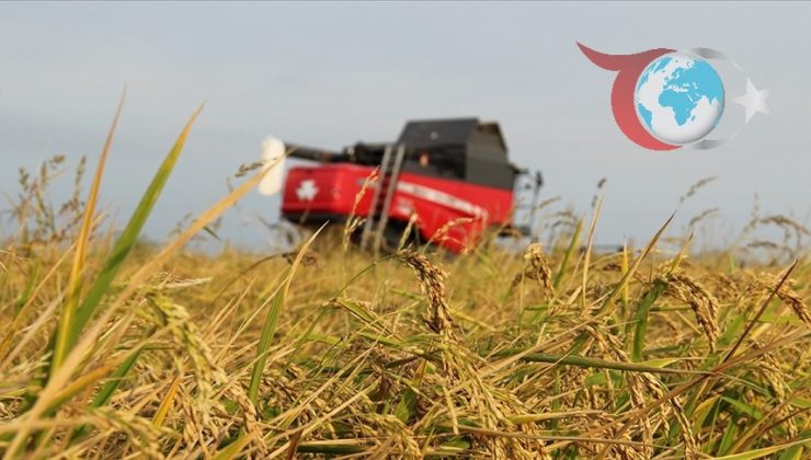 TARSİM’in Kasım Ayı Hasar Tazminatları ve Üretici Destekleri