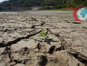 Toprak Kaybının Tehlikelerine Dikkat Çekildi: “Geleceğimiz İçin Toprağı Korumalıyız”