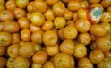 Türkiye’nin Mandalina İhracatında Rekor Artış
