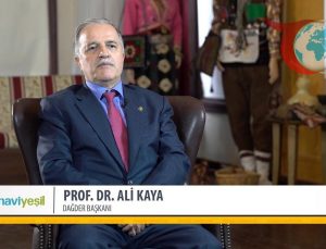 Ünlü Akademisyen Prof. Dr. Ali Kaya’nın Vefatı: Bursa ve Akademi Dünyasında Büyük Üzüntü