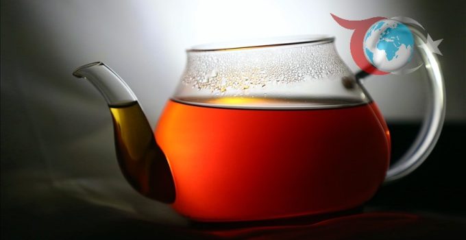 Yaşlı Kadınlarda Çay Tüketiminin Kemik Sağlığına Etkileri