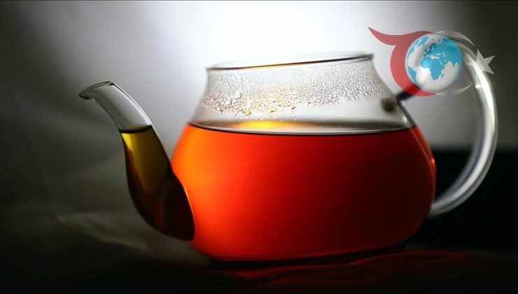 Yaşlı Kadınlarda Çay Tüketiminin Kemik Sağlığına Etkileri