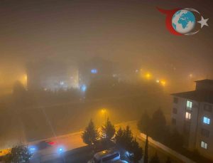 Yenişehir’de Yoğun Sis Trafiği Felç Etti