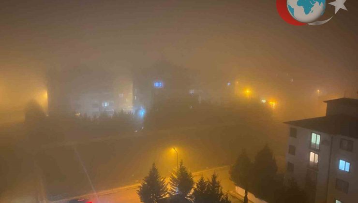 Yenişehir’de Yoğun Sis Trafiği Felç Etti